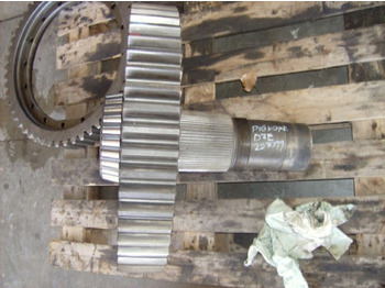 : صورة رأس الصفحة