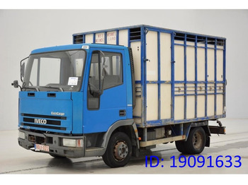 شاحنة نقل المواشي شاحنة IVECO