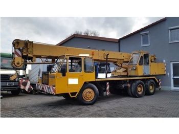 رافعة لجميع التضاريس Liebherr Mobilkran LT1025-25t-Allrad 33 m 2x Seilwinde Kranwagen: صور 1