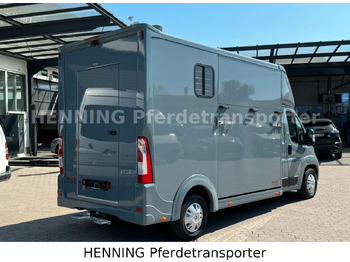 شاحنة نقل خيل Peugeot Boxer 3-Sitzer *NEUWAGEN* 1000 KG NUTZLAST: صور 3