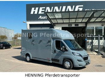 : صورة رأس الصفحة