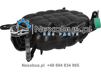 : صورة رأس الصفحة