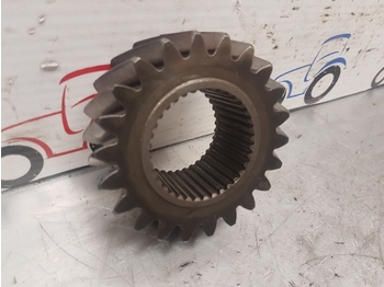 : صورة رأس الصفحة