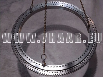 حلقة الدوران DEMAG