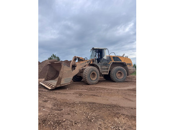 : صورة رأس الصفحة