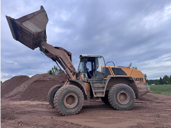 حفار متعدد الاستخدام LIEBHERR L566: صور 2