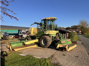 : صورة رأس الصفحة