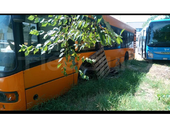 النقل الحضري BredaMenarinibus M 240/E3 NU: صور 2