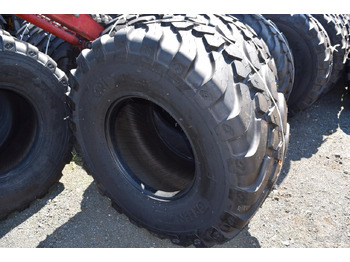 : صورة رأس الصفحة