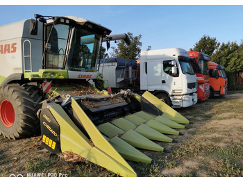 حصادات الذرة جديد Oros Cornado 6 4+2R Nowa Przystawka do kukurydzy: صور 3