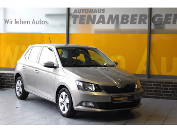 هاتشباك Skoda Fabia Ambition Klima Tempomat Bluetooth: صور 2