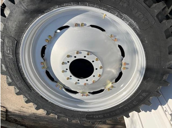 : صورة رأس الصفحة