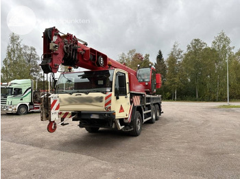 رافعة لجميع التضاريس TEREX