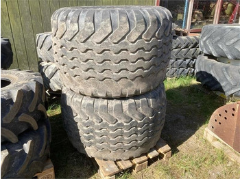 : صورة رأس الصفحة