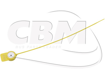 : صورة رأس الصفحة