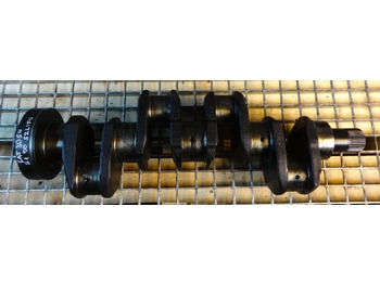 : صورة رأس الصفحة