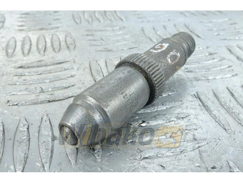 : صورة رأس الصفحة