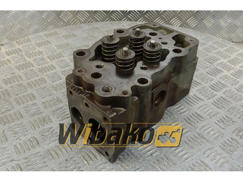 اسطوانة رئيس LIEBHERR