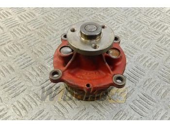 : صورة رأس الصفحة