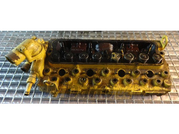 : صورة رأس الصفحة