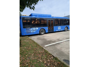 : صورة رأس الصفحة