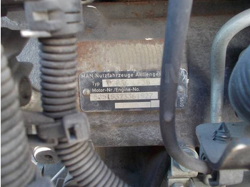المحرك - شاحنة MAN D2066 LF38 MAN TGA, TGS, TGX: صور 2