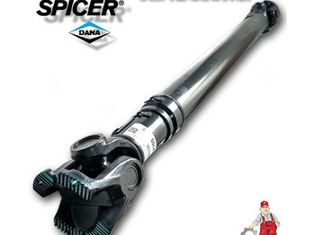 : صورة رأس الصفحة