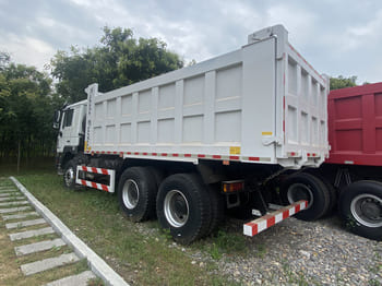 شاحنة لنقل البضائع الحرة SHACMAN Shacman Tipper Truck F3000 for Sale in Nigeria: صور 2