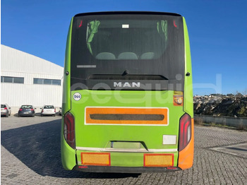 سياحية حافلة Man Lion's Coach: صور 5