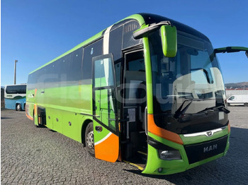 : صورة رأس الصفحة