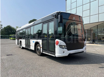 : صورة رأس الصفحة