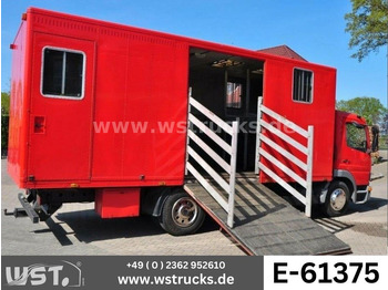 شاحنة نقل خيل MERCEDES-BENZ