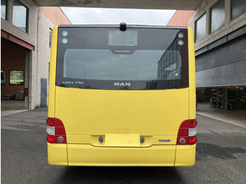 تأجير  N.1 MAN LIONS CITY – Anno 2015 N.1 MAN LIONS CITY – Anno 2015: صور 5
