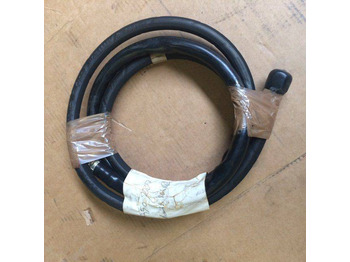 : صورة رأس الصفحة