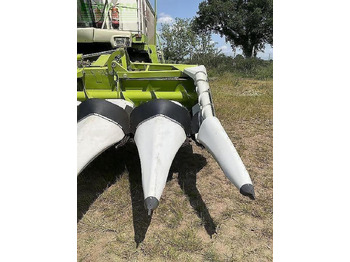 معدات حصادة الأعلاف CLAAS corio 875 fc conspeed: صور 3