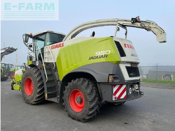 حصادة الأعلاف CLAAS Jaguar 950