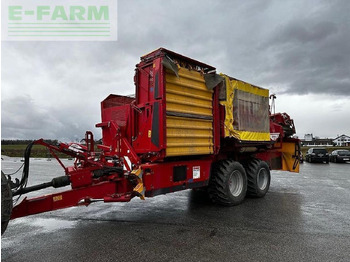 حصادة البطاطس GRIMME