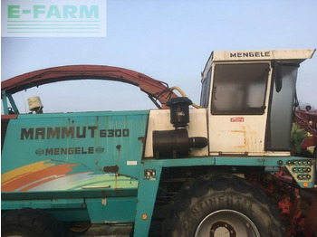 حصادة الأعلاف Mengele mammut 6300: صور 4