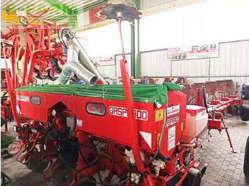 وضع البذور فى خطوط