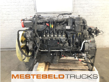 : صورة رأس الصفحة