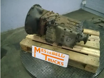 : صورة رأس الصفحة