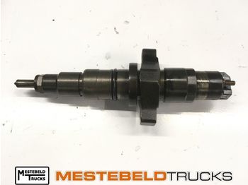 : صورة رأس الصفحة