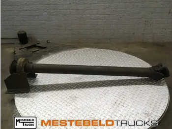 : صورة رأس الصفحة