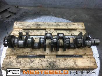 : صورة رأس الصفحة