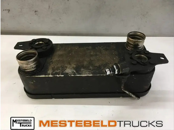 : صورة رأس الصفحة