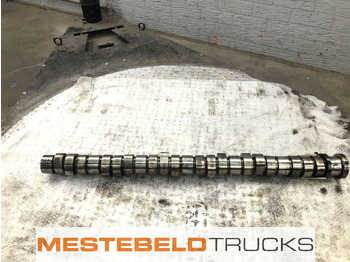 : صورة رأس الصفحة