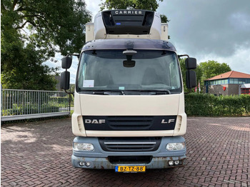 تأجير DAF LF 55 FAN DAF LF 55 FAN: صور 2