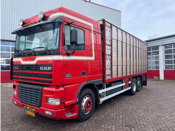 شاحنة نقل المواشي شاحنة DAF XF 95 380