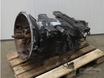 : صورة رأس الصفحة