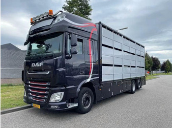 شاحنة نقل المواشي شاحنة DAF XF 460